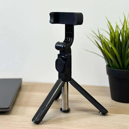 R1s Extendable Selfie Stick