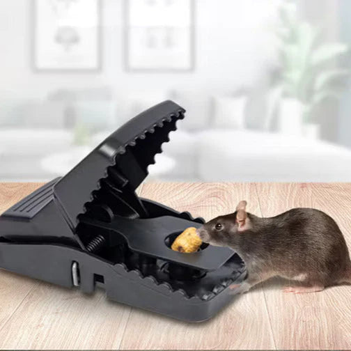 Plastic Rat Trap