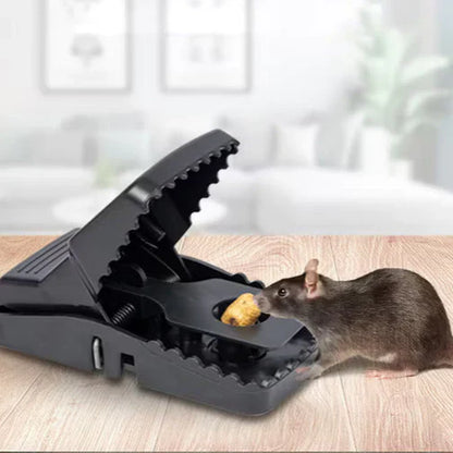 Plastic Rat Trap