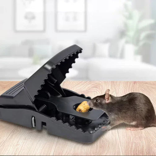 Plastic Rat Trap